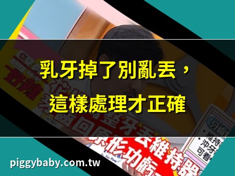 牙齒丟哪裡