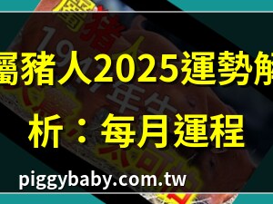 屬豬的人
