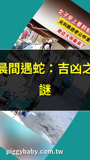 早上看到蛇