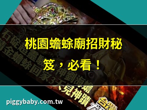 蟾蜍廟