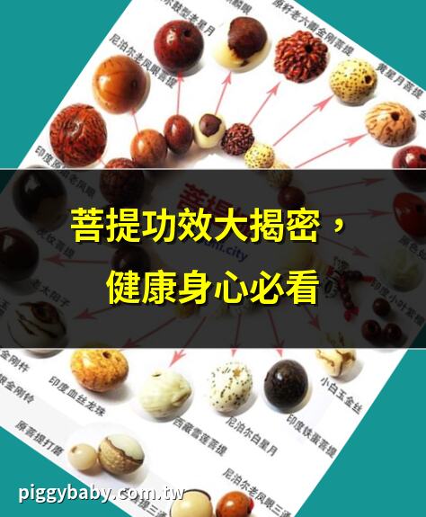 菩提功效大揭密，健康身心必看 | 菩提根的中醫養生秘訣 | 菩提子的神奇功效，你知多少？ | 菩提手串的寓意與健康
