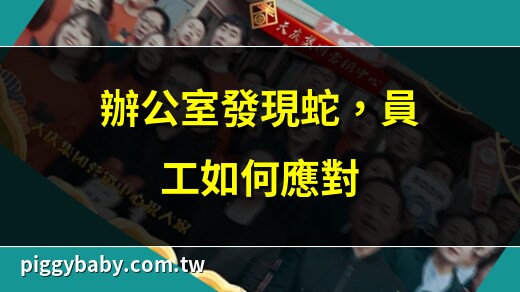 公司有蛇