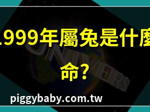 1999屬什麼